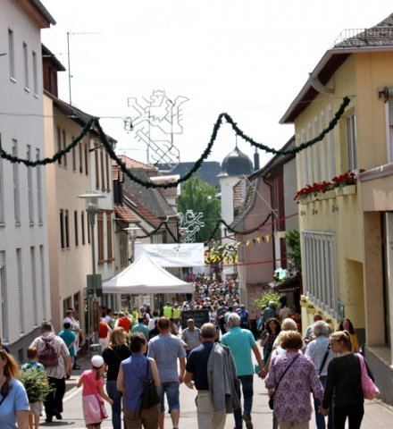 2015 Rheinland Pfalz Tag Alzey